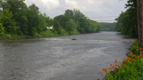 Click here to enlarge image